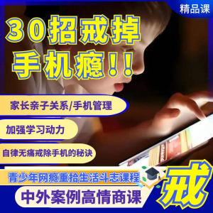 戒瘾网瘾视频教程全套管理技巧亲子关系学习动力在线课程-三合淘宝虚拟仓