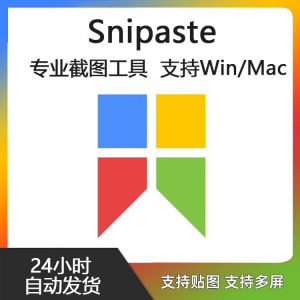 Snipaste for Mac 电脑截图贴图工具 支持Windows 苹果系统-三合淘宝虚拟仓
