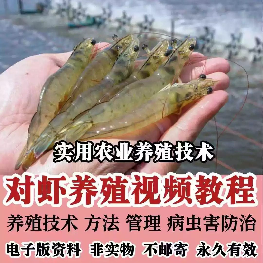 对虾养殖技术视频教学教程水质管理日常养护疾病防治南美白素材-三合淘宝虚拟仓