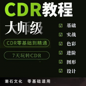 cdr教程视频Coreldraw自学平面设计广告排版零基础入门学习课程-三合淘宝虚拟仓