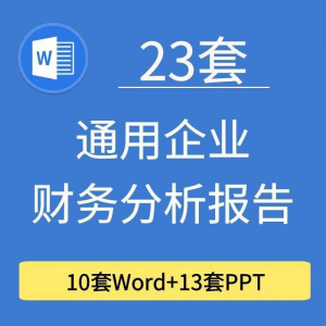 23套通用企业公司年度财务分析报告word电子文档模板PPT演示-三合淘宝虚拟仓