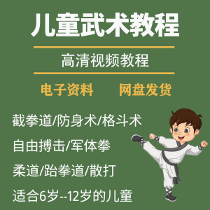 少儿童武术视频教程零基础自学咏春散打擒拿泰拳跆拳道防身术课程-三合淘宝虚拟仓
