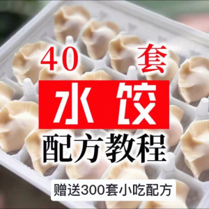 【0.01秒发】40套水饺技术配方 特制技术视频教程-三合淘宝虚拟仓