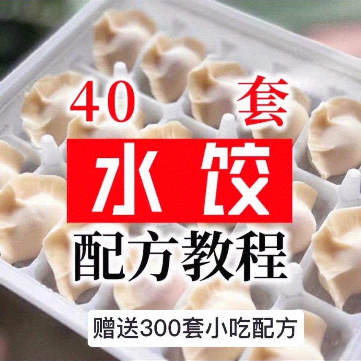 【0.01秒发】40套水饺技术配方 特制技术视频教程-三合淘宝虚拟仓