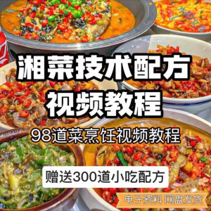 【0.01秒发】98道湘菜技术配方视频教程商用湖南菜炒菜特色小吃-三合淘宝虚拟仓