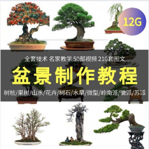 盆景制作技术视频教程工艺教学果树桩山水微型造型全套-三合淘宝虚拟仓