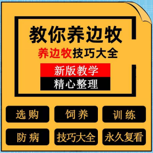 边牧训练方法教程边境牧羊犬驯养技术饲养喂养选购训犬技巧大全套-三合淘宝虚拟仓