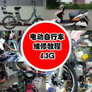 学电动车维修技术电动自行车维修技术电瓶修复技巧视频教程教学-三合淘宝虚拟仓