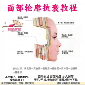 美商课程面部轮廓抗衰美肤减龄变美视频教程形象管理内在美好气色-三合淘宝虚拟仓