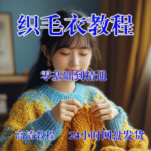手工织毛衣视频零基础传统棒针钩针毛线编织婴儿童全套-三合淘宝虚拟仓