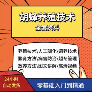 胡蜂养殖技术蜜蜂视频资料黄蜂黑盾怎样养胡蜂人工饲养教程大全-三合淘宝虚拟仓