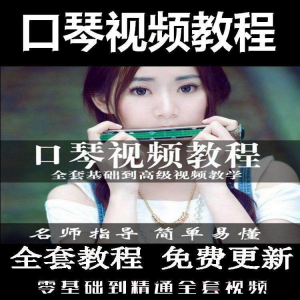 口琴自学教程视频零基础初学者入门到专业十孔24孔教学-三合淘宝虚拟仓