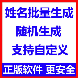 姓名批量生成工具 用户名随机不重复生成软件 可自定义-三合淘宝虚拟仓
