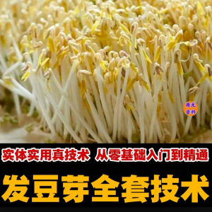 自学发豆芽技术资料豆芽加工制作方法教学 培育豆芽商用视频教程-三合淘宝虚拟仓