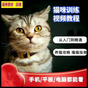 猫咪训练+养猫攻略大全技巧秘诀自学教程课程视频-三合淘宝虚拟仓