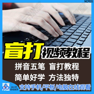 盲打不看键盘打字视频教学网课指法纠正零基础普通键盘私教版资料-三合淘宝虚拟仓