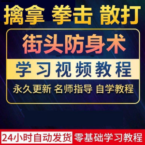街头防身术擒拿拳击散打视频教程全套入门自学零基础学习教程视频-三合淘宝虚拟仓