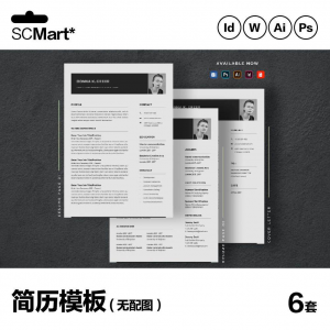 6套高级英文简历Word简历 ai psd设计师简历模板毕业生简历CV29-三合淘宝虚拟仓