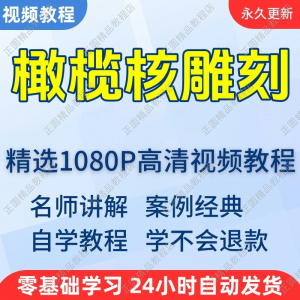 橄榄核雕刻视频学习教程新手自学零基础入门精通教学课程全集-三合淘宝虚拟仓
