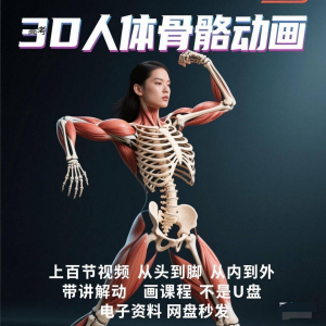 中医人体骨骼肌肉学习3D动态讲解演示视频自学零基础中医人体高考-三合淘宝虚拟仓