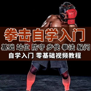 全套拳击指导视频教程自学零基础小白入门自卫搏击格斗防护资料-三合淘宝虚拟仓