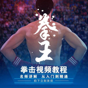 拳击教学视频 自学教程 训练零基础运动入门健身搏击格斗武术课程-三合淘宝虚拟仓