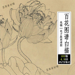 百花图谱白描线稿图集 国画花卉植103幅tif格式3.6G高清图片素材-三合淘宝虚拟仓